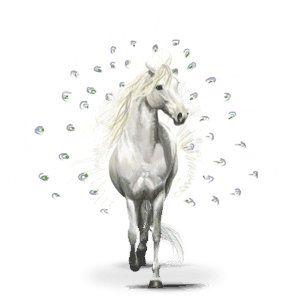 vaeltava lintuhevonen pavos