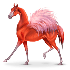 vaeltava lintuhevonen feeniko